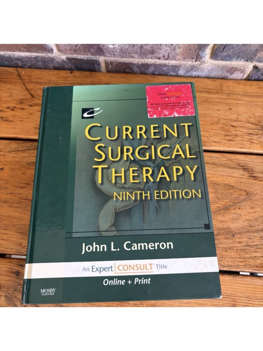 Current Surgical Therapy by Cameron - Good